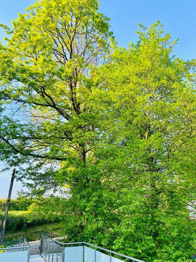 Ferienwohnung Waldblick Kaufungen 外观 照片